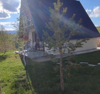 Tepacko Polje Villa | Pinewood Home Žabljak