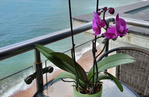 Seoca Apartment | Plava Villa A1 3bedroom apartment with sea view