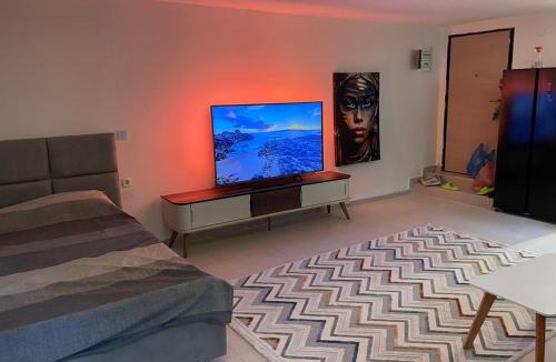 Downtown Apartment | Podgorica 23