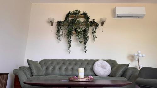 Lepetane Apartment | Polaris Astra Bay
