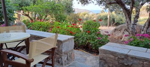 Palekastro Apartment | Porto Heli Apartments