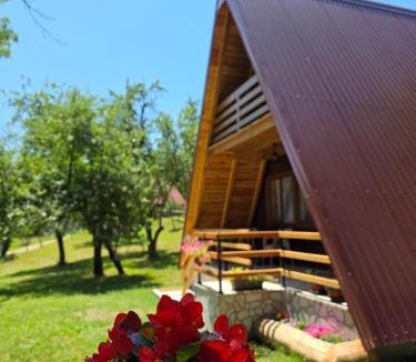 Poscenje Apartment | Poscenje