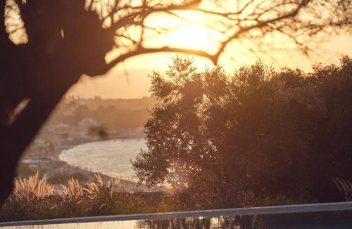 Tsilivi Hotel | Prosilio olive tree houses