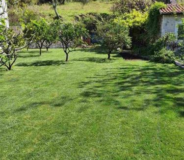 Risan House | Queen Teuta - Sea View - Private Parking & Garden - BBQ Grill