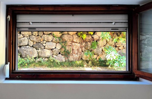 Lazi Apartment | Quiet Garden Studio w/Private Entrance & Parking