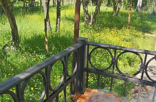 Ulcinj House | Rajana bungalow 2(Olive House)
