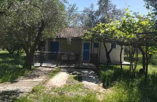 Ulcinj House | Rajana Bungalow 2(olive House)