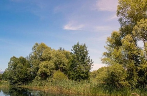 Karuc Other | River Camp Skadar Lake - Wooden Bungalows