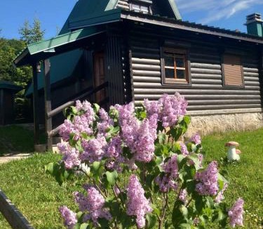 Milosevici House | Romantika