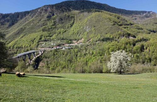 Njegovuđa House | Rooms DVORIŠTA