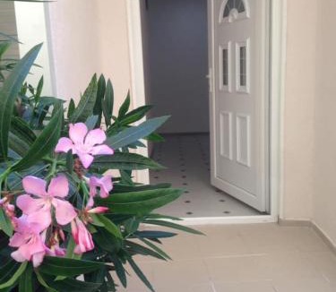 Rana Apartment | Rooms Jancic