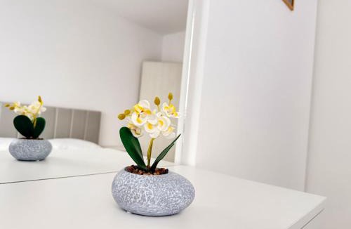 Prizren Apartment | Rubinas Apartment
