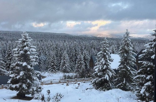 Zabljak Villa | Rustic Authentic House, chalet style, in charming Žabljak.
