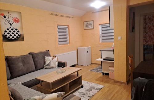 Kolasin Apartment | SAŠA