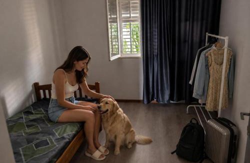 Bijela Hostel | Sanrise Hostel