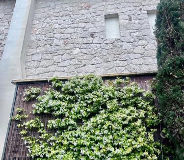Afytos House | Sea and Stone Villa