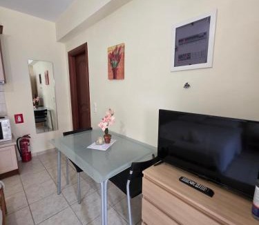 Agia Ermioni Apartment | Sea Nest Studio 2
