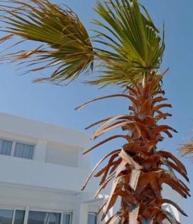 Lahania Villa | Seapalm Villa - Elegant Stay - Steps from the Sea