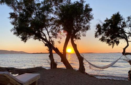 Pounta Hotel | Seesoo Paros Beachfront Luxury Hideaway