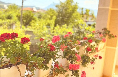 Berat Apartment | selamaj villa
