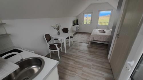 Pluzine Apartment | Seoski kutak Piva