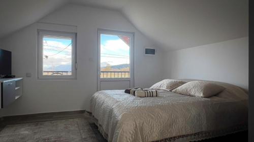 Pluzine Apartment | Seoski kutak Piva