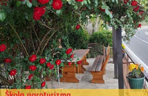 Grahovo Apartment | Seosko domaćinstvo STAREVINA