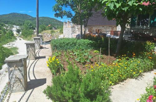 Cetinje Municipality Ski Chalet | Seosko Domacinstvo Vujosevic