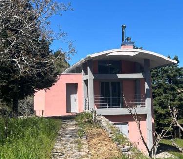 Seta House | Seta Forest House