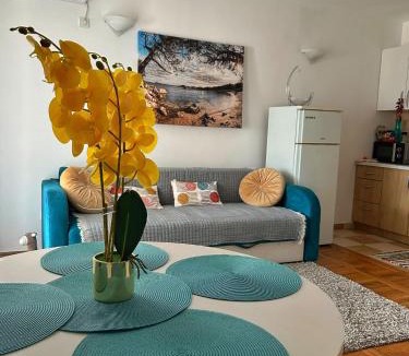Babin do Apartment | Sheldon