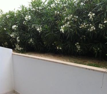Sidari Hotel | Sidari Beach Hotel