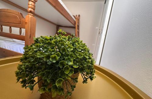 Avgonyma Apartment | Sidirounta Village Apartment