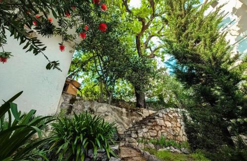 Boreti Apartment | Silva Villa
