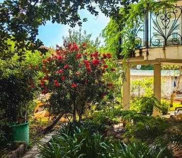 Boreti Apartment | Silva Villa
