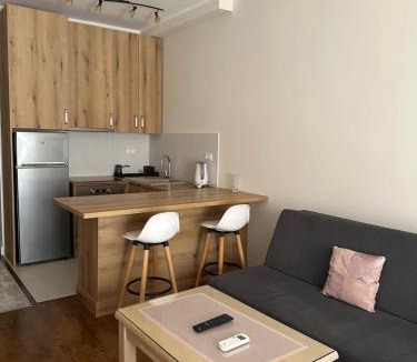 Zeljeznica Apartment | Soho city apartment