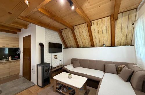 Njegovuđa Apartment | Soko Guest House