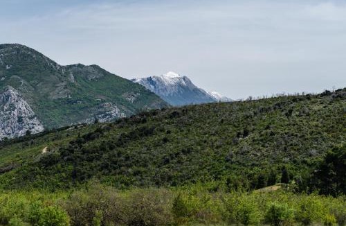 Sutomore Apartment | Solaris Summer Resort Apartments