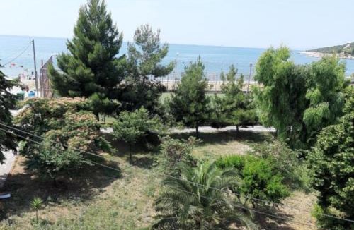 Kavala Apartment | Soula's Sunshine Green Apartment