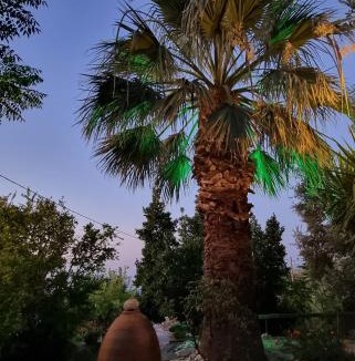 Karpenisi Apartment | SPITIKARIOTIKO Garden home