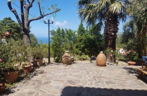 Karpenisi Apartment | SPITIKARIOTIKO Garden home