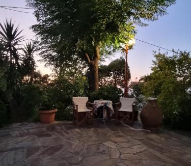 Karpenisi Apartment | SPITIKARIOTIKO Garden home