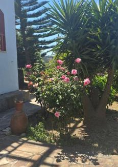 Armenistis House | SPITIKARIOTIKO My Ikarian home