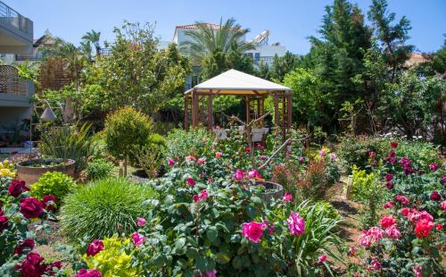 Platanias Town Apartment | Stamatakis Boutique Studios