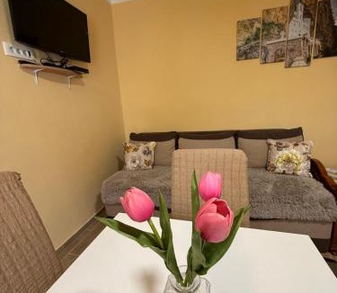 Ratisevina Apartment | Stan na dan, Igalo