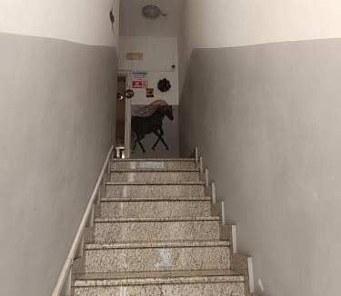 Downtown Hostel | Stars Aspava Blue HOSTEL