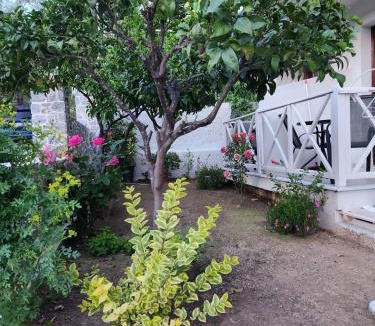 Skiathos Town Hotel | Stavroula's House