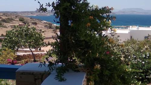 Koufonisia Apartment | Stella's Home