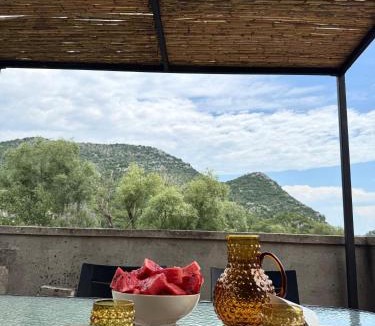Dodosi House | Stone house Kana-Skadar Lake