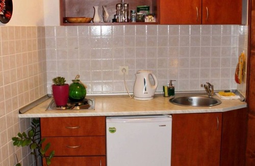 Sveti Stefan Apartment | Studio/2+1/in the garden/MONTEN
