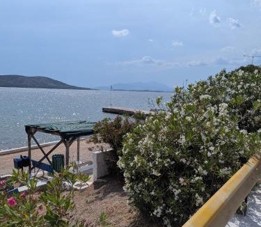 Salamis Apartment | Studio 4 personne vue sur la mer